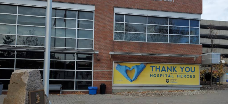 Screenshot 2026 02 15 013306 768x350