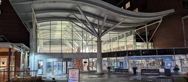 Screenshot 2026 02 15 013431 768x337