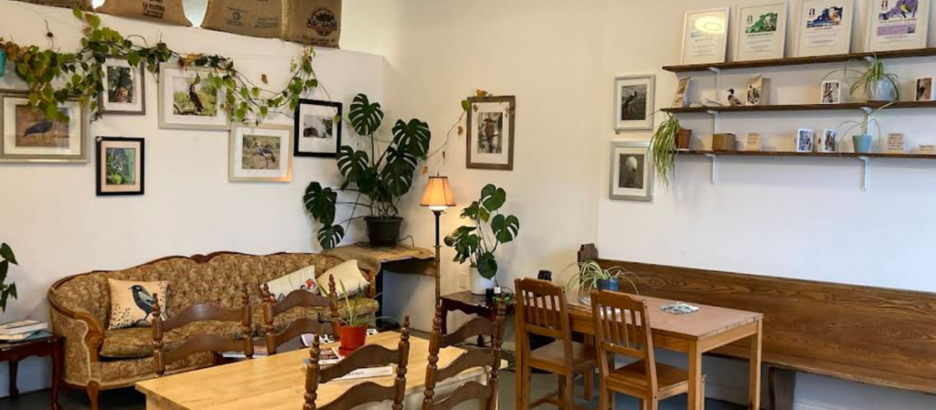 Screenshot 2026 02 18 005640 1024x449