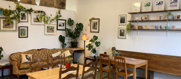 Screenshot 2026 02 18 005640 768x337