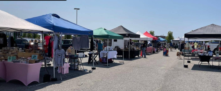 Screenshot 2026 02 18 020612 768x316