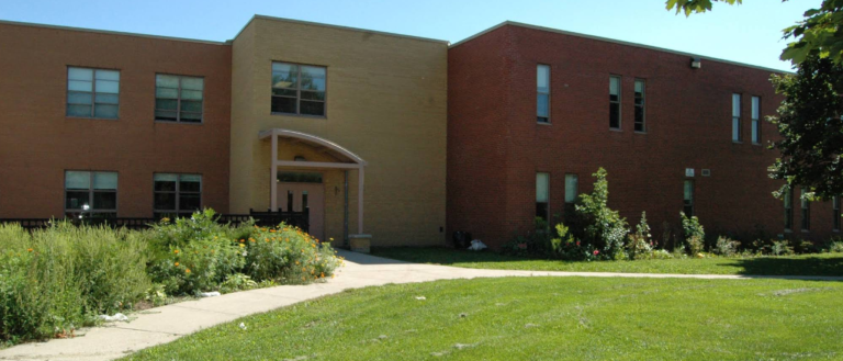 Screenshot 2026 02 18 192017 768x329