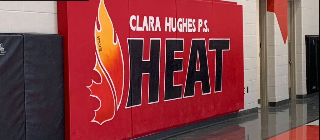 Screenshot 2026 02 18 192834 1024x450