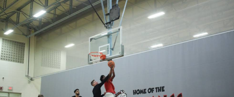 Screenshot 2026 02 18 195641 768x321