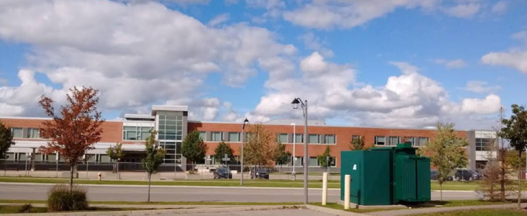 Screenshot 2026 02 18 195649 768x315