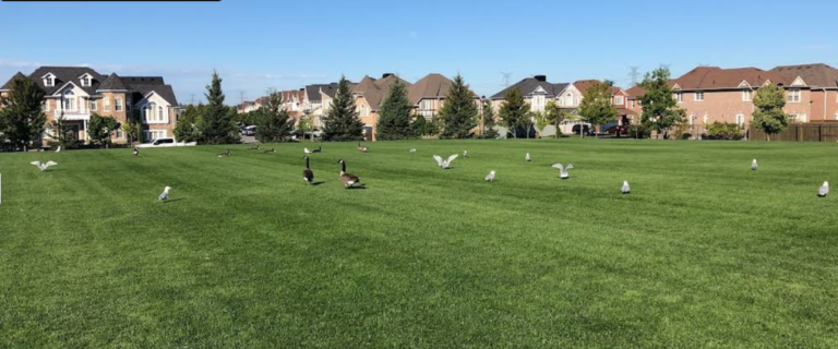 Screenshot 2026 02 18 200132 768x320