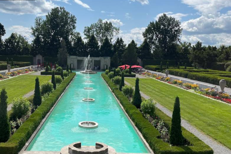 Screenshot 2026 02 18 201408 768x514