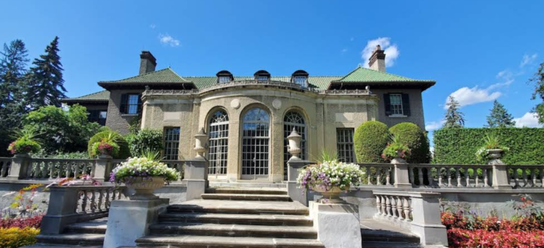 Screenshot 2026 02 18 201418 768x350