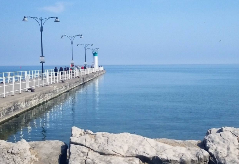 Screenshot 2026 02 18 201910 768x528