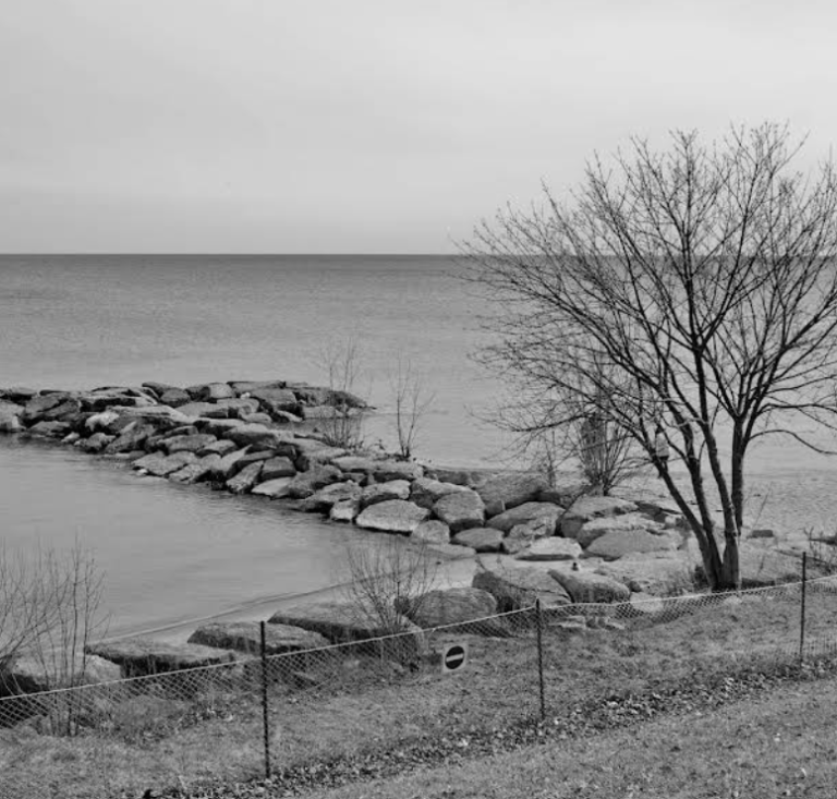 Screenshot 2026 02 18 201922 768x733