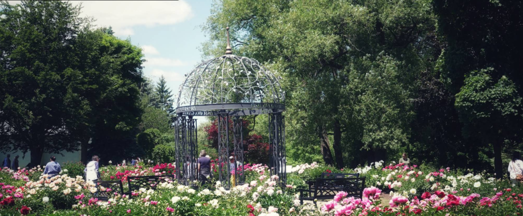 Screenshot 2026 02 18 205350 1024x424