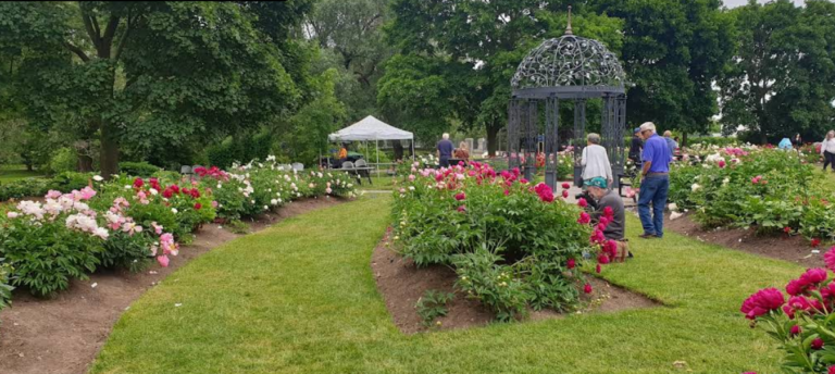 Screenshot 2026 02 18 205359 768x344