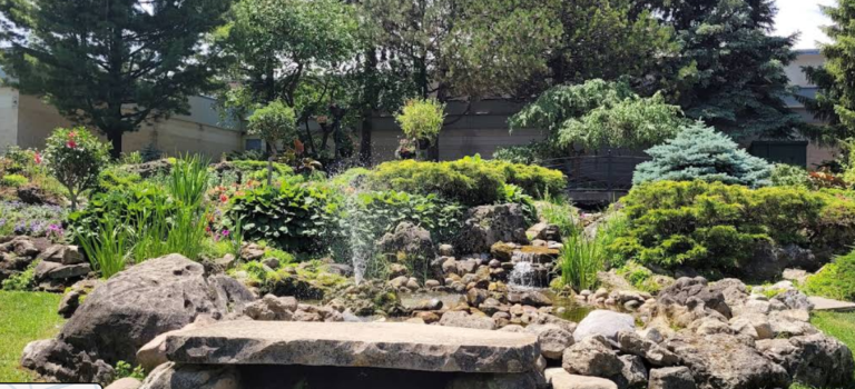 Screenshot 2026 02 18 210115 768x350