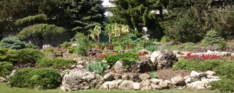 Screenshot 2026 02 18 210124 768x307