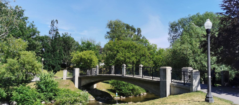 Screenshot 2026 02 18 210132 768x340