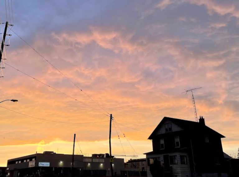 Screenshot 2026 02 19 021600 768x569