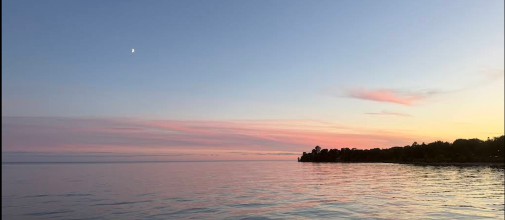 Screenshot 2026 02 19 222829 1024x447