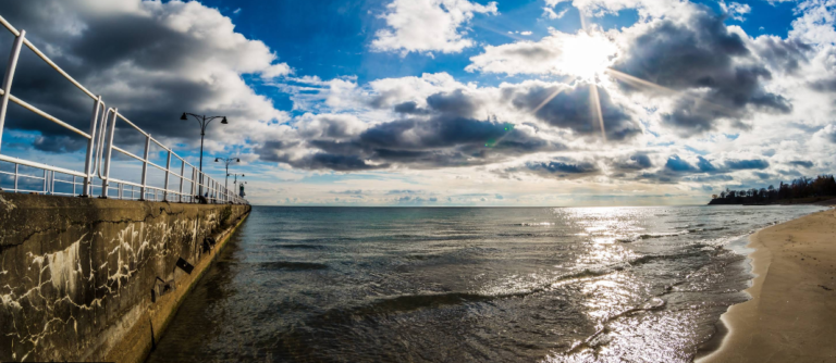 Screenshot 2026 02 19 223336 768x334