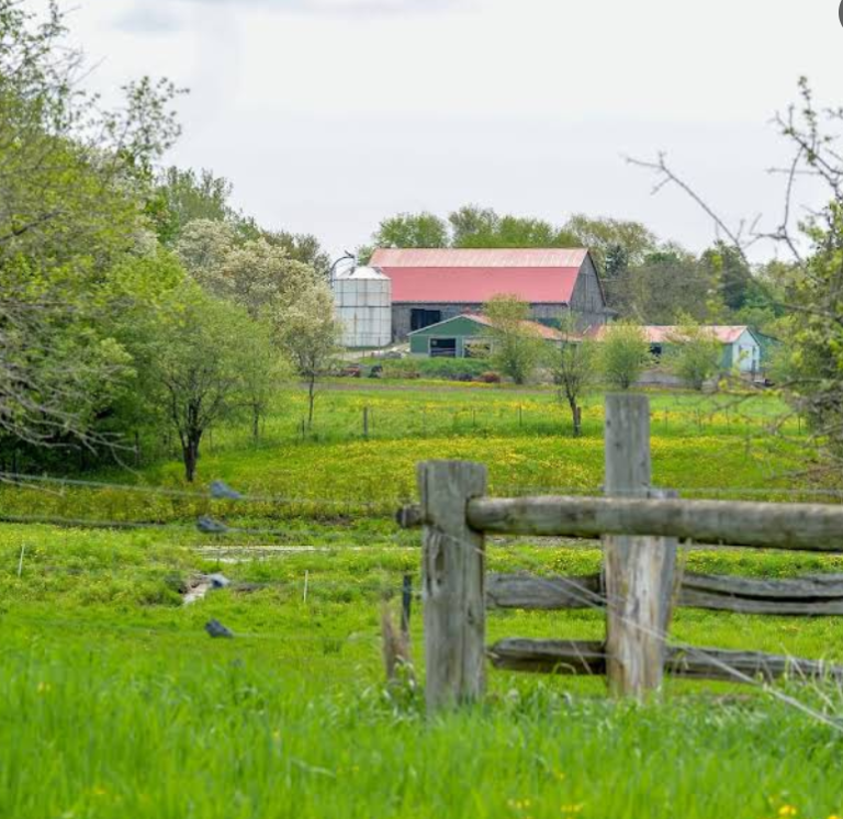 Screenshot 2026 02 19 223840 768x746