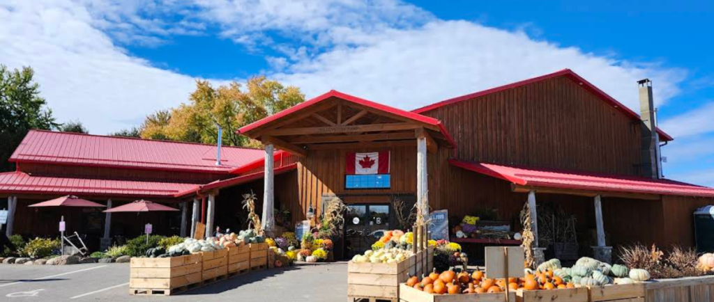 Screenshot 2026 02 19 224651 1024x434