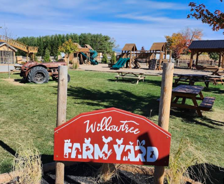 Screenshot 2026 02 19 224706 768x632