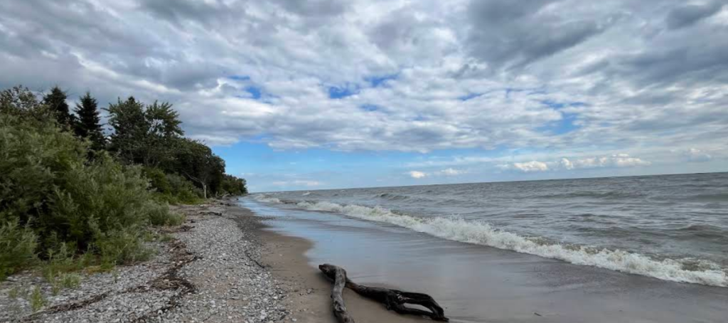 Screenshot 2026 02 20 001747 1024x454