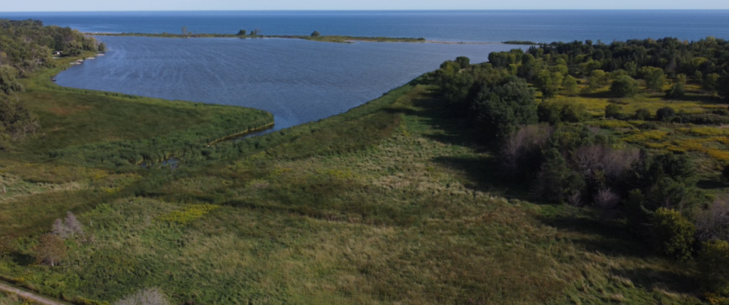 Screenshot 2026 02 20 001754 1024x429