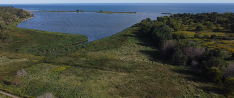 Screenshot 2026 02 20 001754 768x322