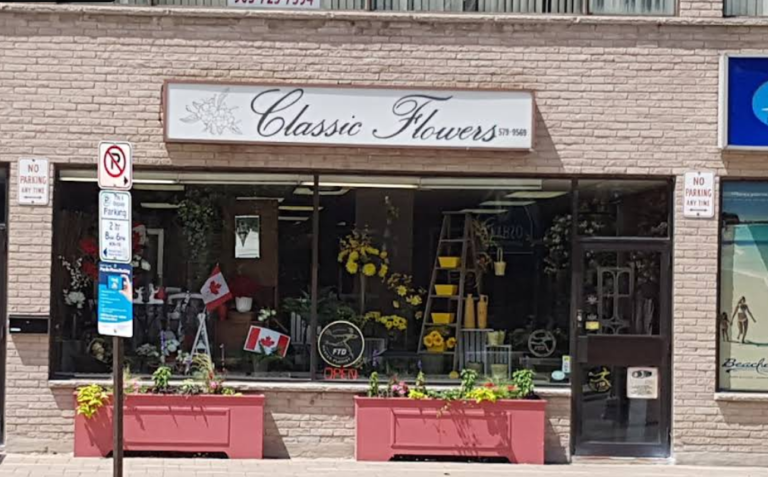 Screenshot 2026 02 20 015527 768x477