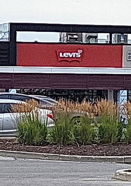 Screenshot 2026 02 25 001801